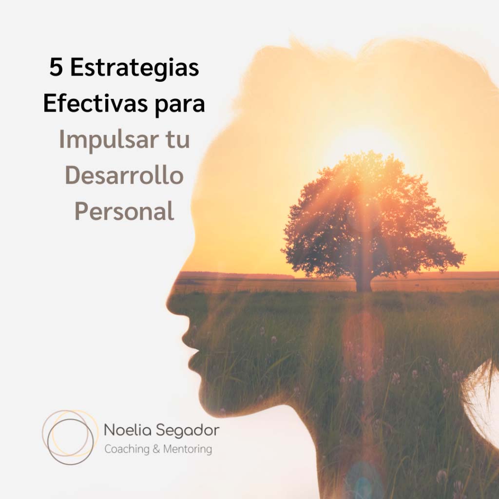 Mediante una imagen reflexiva no muestra el crecimiento personal y nos dice que hay estrategias para ello