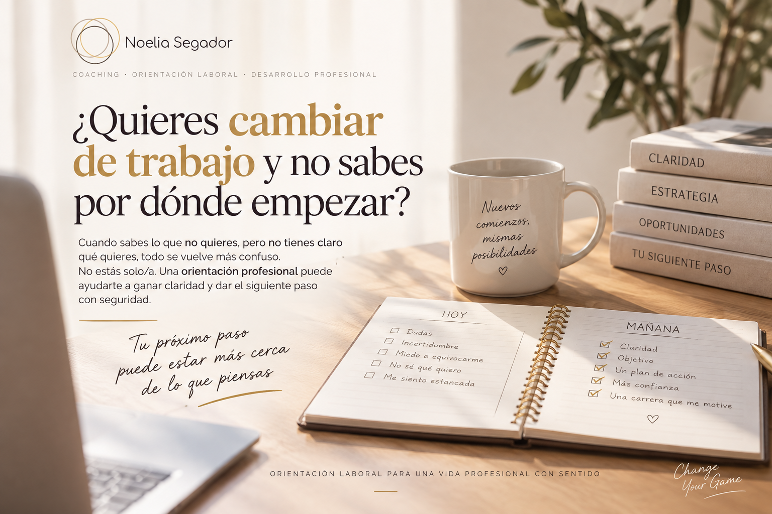 Claridad profesional